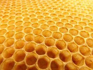 honeycomb-530987_640-300x225